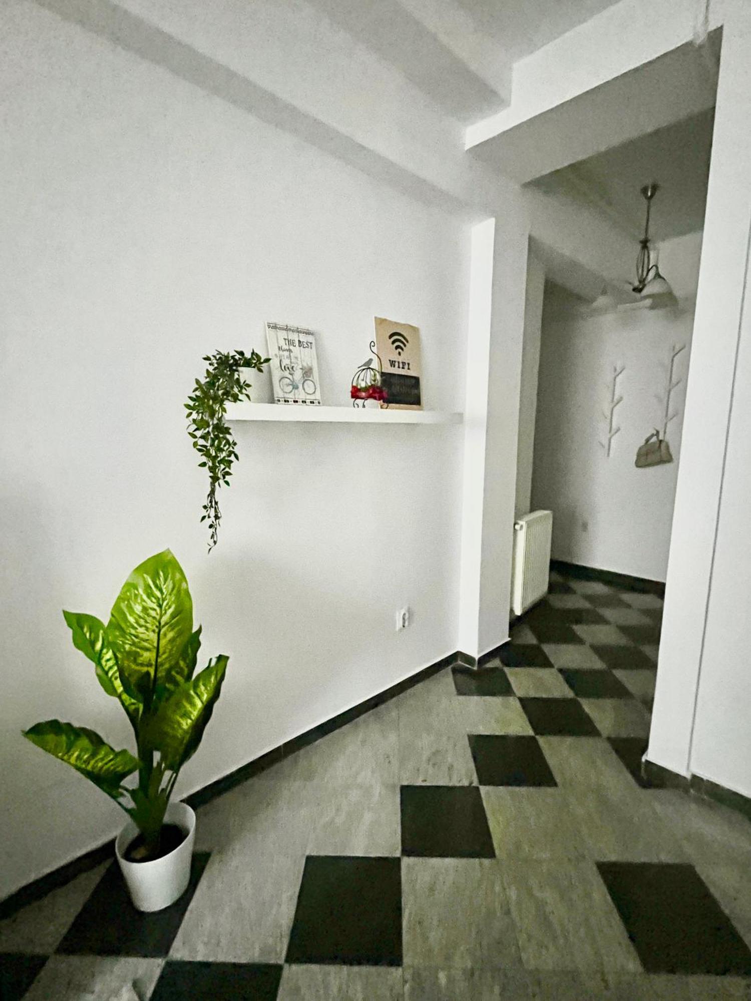 Victoriei Spacious Studio Bucarest Exterior foto