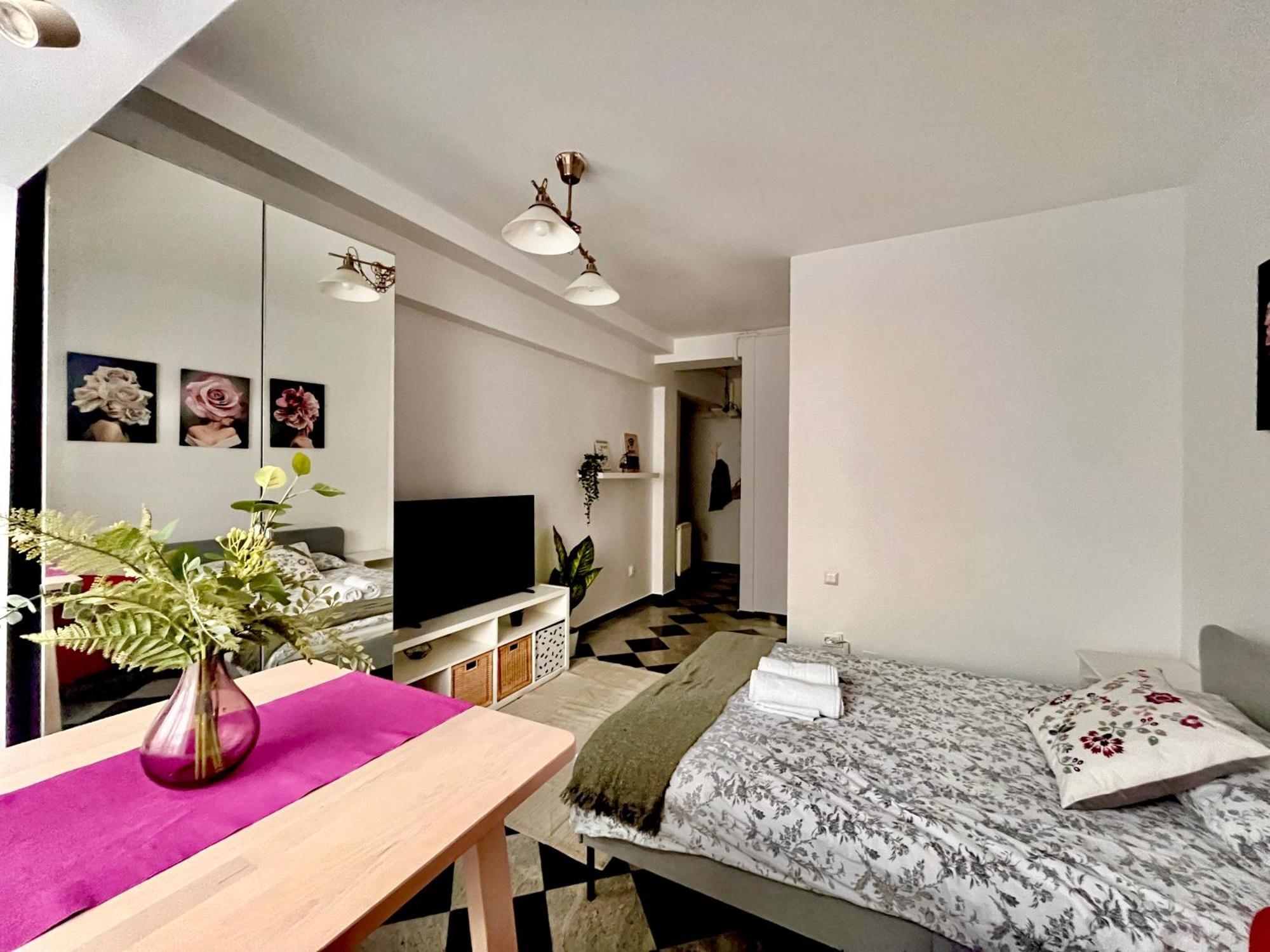 Victoriei Spacious Studio Bucarest Exterior foto